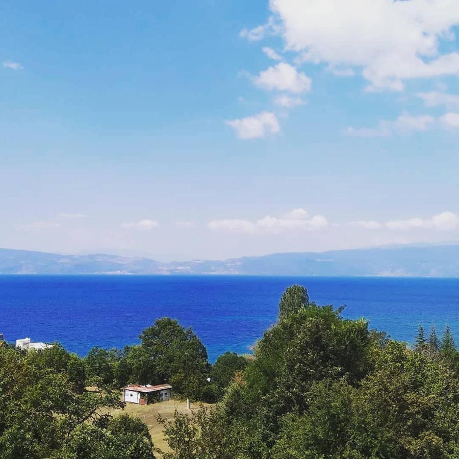 The Brothers Villa Hotel Ohrid Eksteriør bilde