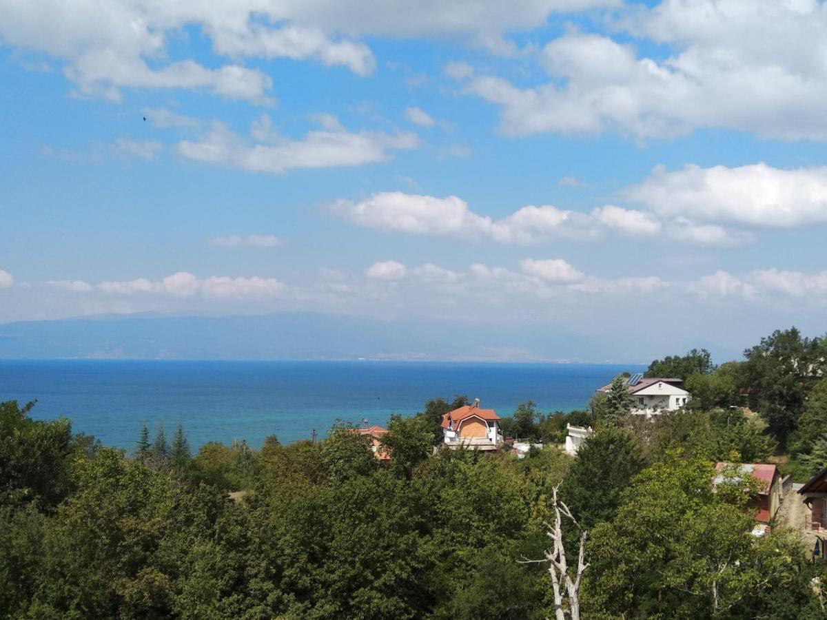 The Brothers Villa Hotel Ohrid Eksteriør bilde